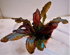 001 (6).jpg