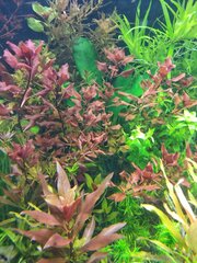 IMG_20180510_085716-min.jpg