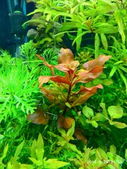IMG_20190928_175107-min.jpg