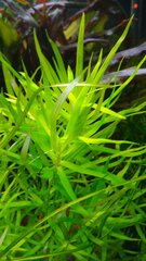 IMG_20191013_164854.jpg