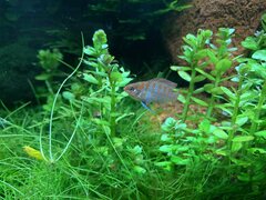 IMG_0261.jpg