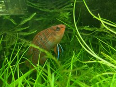 IMG_0305.jpg