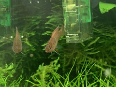 IMG_0313.jpg