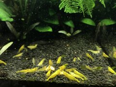 IMG_2083.jpg