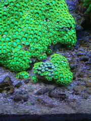 IMG_20191028_125007.jpg