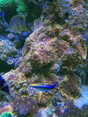 IMG_20191028_124936.jpg
