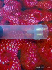IMG_20191107_171859.jpg