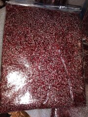 IMG_20191112_204457.jpg