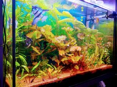 IMG-20191120-WA0006.jpg