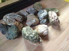 IMG_20191013_142401.jpg