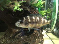IMG_4655.JPG