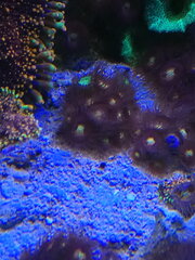 IMG_20191208_162119.jpg