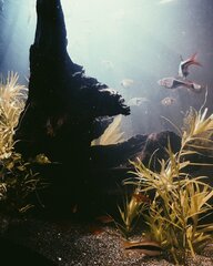 d52652ce-2ce0-4aab-bbd6-e3babbdf5c32.jpg