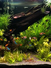 dedc9397-cc18-4e6a-8008-b6acbd57def0.jpg