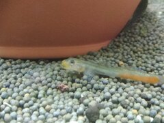 IMG_20191216_203702.jpg