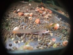 IMG_20191216_203518.jpg