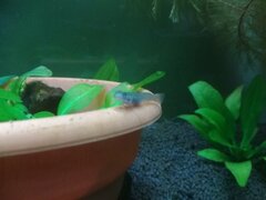 IMG_20191216_203639.jpg
