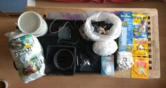 IMG_20191208_141126.jpg