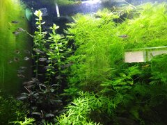 IMG_20190813_155841.jpg