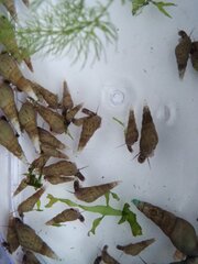IMG_20200116_160125_1.jpg