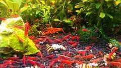 IMG_20200209_140605.jpg