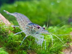 IMG_20200130_114726_460.jpg