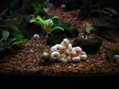 IMG-a9db088fb98cce128720e47d5cfe1eb5-V.jpg