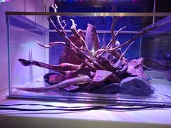 IMG-20200303-WA0022.jpg