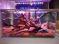 IMG-20200303-WA0027.jpg
