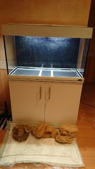 DSC_0086.JPG
