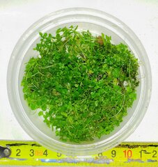 20160806_114119.jpg