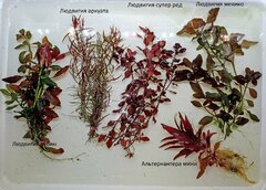 20171119_175230_N.jpg