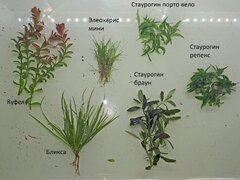 20181020_09094411.jpg