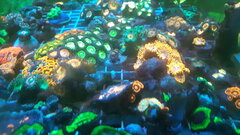 IMG-20191230-WA0033.jpeg