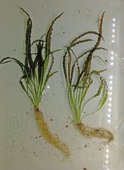 20170225_190147.jpg
