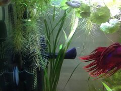 39354147-122A-46B0-9882-C4300D3E6AC9.jpeg