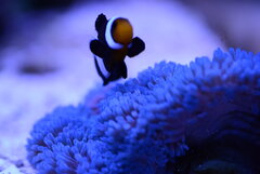 DSC_0484.JPG