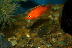 _MG_1590.CR2.jpg