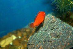 _MG_1593.CR2.jpg