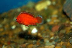 _MG_1597.CR2.jpg