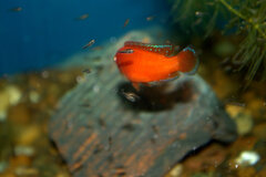 _MG_1604.CR2.jpg