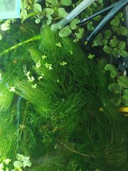 IMG_20200521_122729.jpg