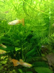 IMG_20200525_171244.jpg