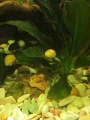 IMG_20200505_171401.jpg