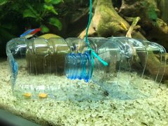 IMG_2277.jpg