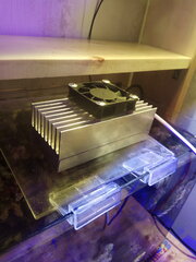 IMG_20200831_134658.jpg