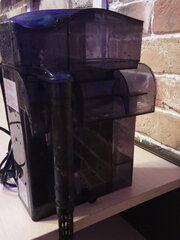 IMG_20200827_105333.jpg