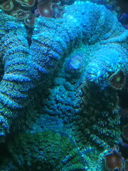 IMG_20200911_105018.jpg