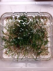 20200926_072218.jpg