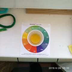 IMG_20190426_093011.jpg